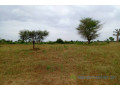 terrain-de-244-hectares-vers-tassette-small-1