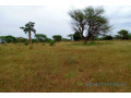 terrain-de-244-hectares-vers-tassette-small-0