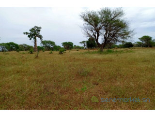 Terrain de 2,44 hectares vers Tassette