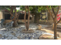 maison-a-vendre-a-saly-sn-small-2