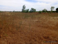 terrain-de-201-hectares-vers-notto-diobass-small-0