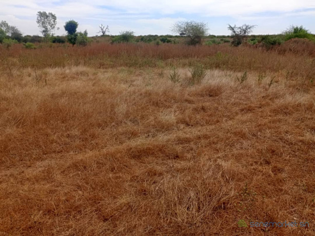 terrain-de-201-hectares-vers-notto-diobass-big-2