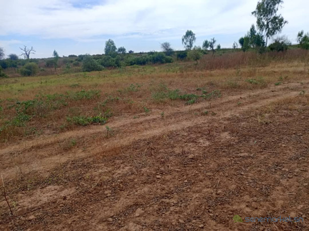 terrain-de-201-hectares-vers-notto-diobass-big-1