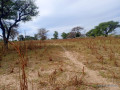 terrain-de-308-hectares-vers-tassette-small-0