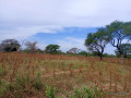 terrain-de-308-hectares-vers-tassette-small-1