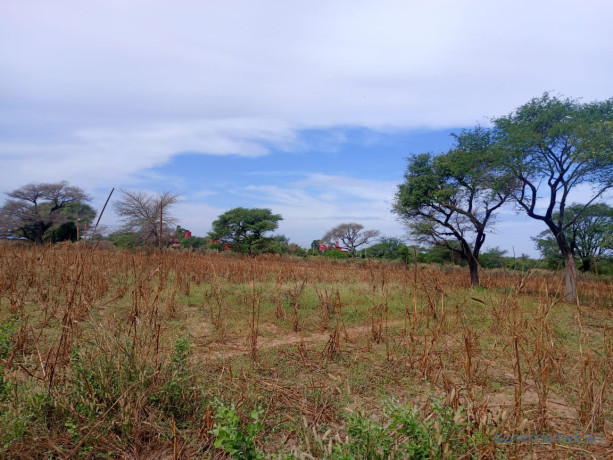 terrain-de-308-hectares-vers-tassette-big-1