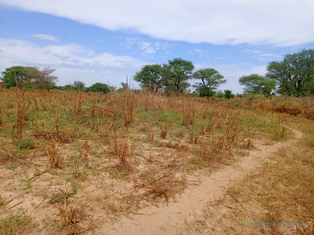 terrain-de-308-hectares-vers-tassette-big-2