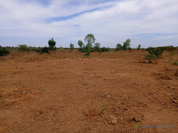 terrain-de-179-hectare-vers-tassette-big-0