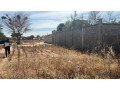 terrain-de-300-m2-a-malicounda-extension-small-2