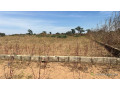 terrain-de-300-m2-a-malicounda-extension-small-3