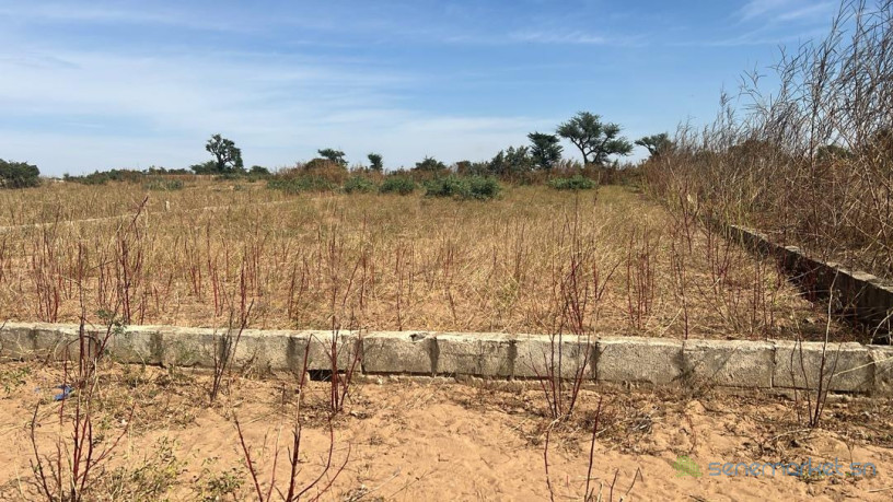 terrain-de-300-m2-a-malicounda-extension-big-3