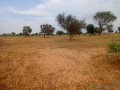 terrain-de-428-hectares-vers-sagatta-small-2