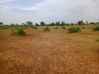 Terrain de 4,28 Hectares vers Sagatta