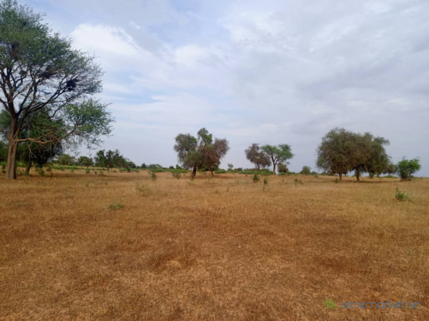 terrain-de-428-hectares-vers-sagatta-big-1