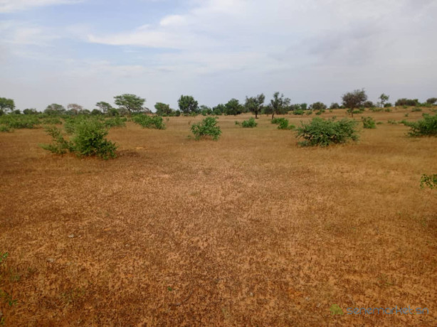terrain-de-428-hectares-vers-sagatta-big-0
