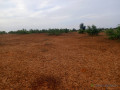 terrain-de-587-hectares-vers-sagatta-small-2
