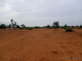 Terrain de 5,87 Hectares vers Sagatta