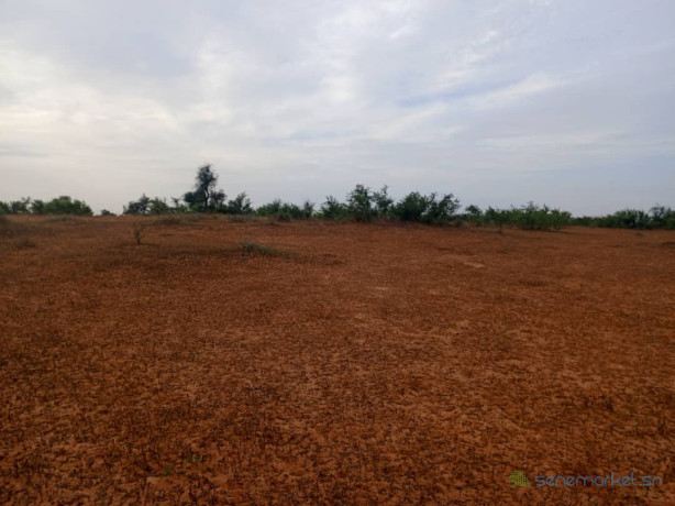 terrain-de-587-hectares-vers-sagatta-big-1