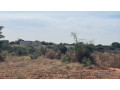 terrain-de-2000-metres-carres-a-vendre-a-nguerigne-sn-small-1