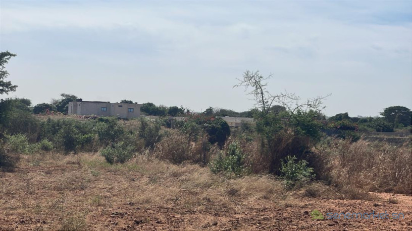 terrain-de-2000-metres-carres-a-vendre-a-nguerigne-sn-big-1