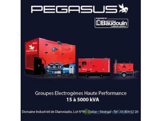 Groupes électrogènes disponibles. Service après vente assuré