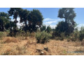 terrain-de-300-metres-carres-a-vendre-a-malicounda-extension-small-2