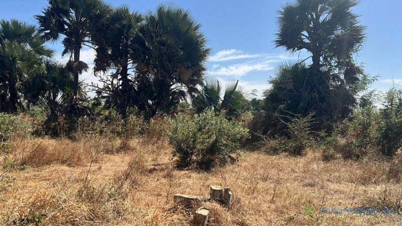 terrain-de-300-metres-carres-a-vendre-a-malicounda-extension-big-2