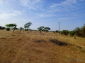 terrain-de-153-hectare-vers-sagatta-small-1