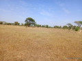terrain-de-153-hectare-vers-sagatta-small-2