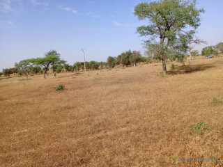 Terrain de 1,53 Hectare vers Sagatta