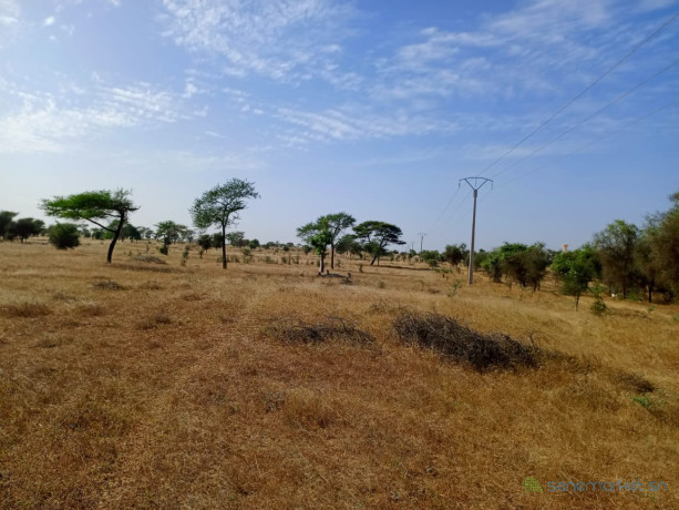 terrain-de-153-hectare-vers-sagatta-big-1
