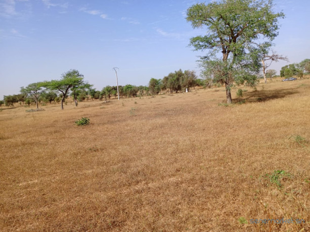 terrain-de-153-hectare-vers-sagatta-big-0