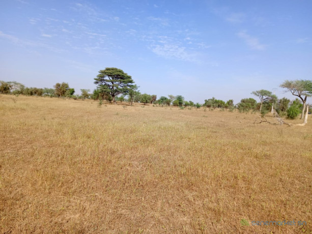 terrain-de-153-hectare-vers-sagatta-big-2