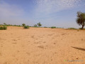 terrain-de-371-hectares-vers-sagatta-small-0