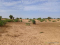 terrain-de-371-hectares-vers-sagatta-small-2