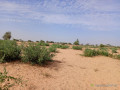 terrain-de-371-hectares-vers-sagatta-small-1