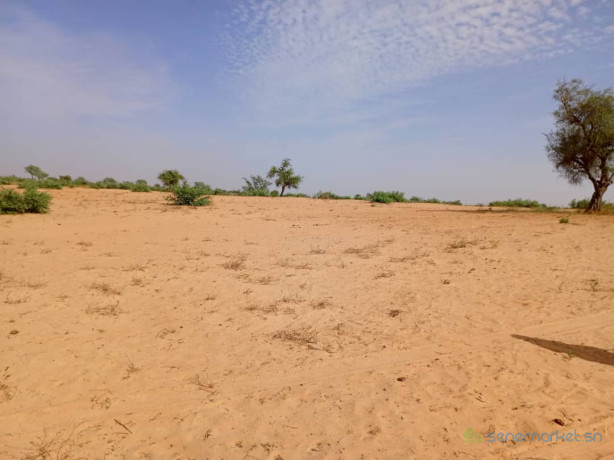 terrain-de-371-hectares-vers-sagatta-big-0
