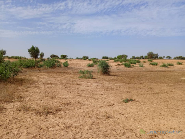 terrain-de-371-hectares-vers-sagatta-big-2