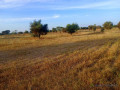 terrain-de-401-hectares-vers-thiolom-fall-small-2