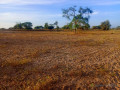 terrain-de-401-hectares-vers-thiolom-fall-small-0