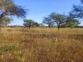 terrain-de-517-hectares-vers-thiolom-fall-small-0