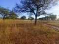 terrain-de-517-hectares-vers-thiolom-fall-small-2