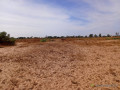 terrain-de-110-hectare-vers-tassette-small-0