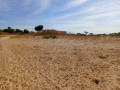 terrain-de-110-hectare-vers-tassette-small-1
