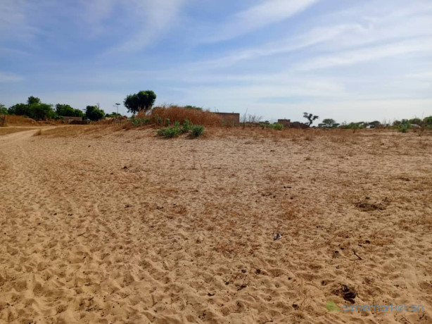 terrain-de-110-hectare-vers-tassette-big-1
