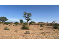 terrain-de-300-metres-carres-a-vendre-a-malicounda-peage-small-2
