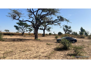 Terrain de 300 mètres carrés à vendre à Malicounda péage