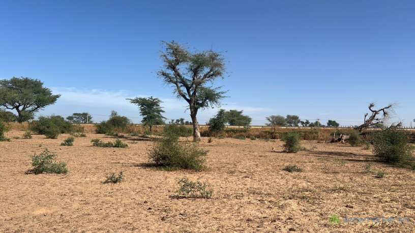 terrain-de-300-metres-carres-a-vendre-a-malicounda-peage-big-2