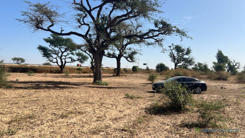 terrain-de-300-metres-carres-a-vendre-a-malicounda-peage-big-0