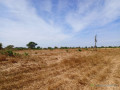 terrain-de-208-hectares-vers-tassette-small-0